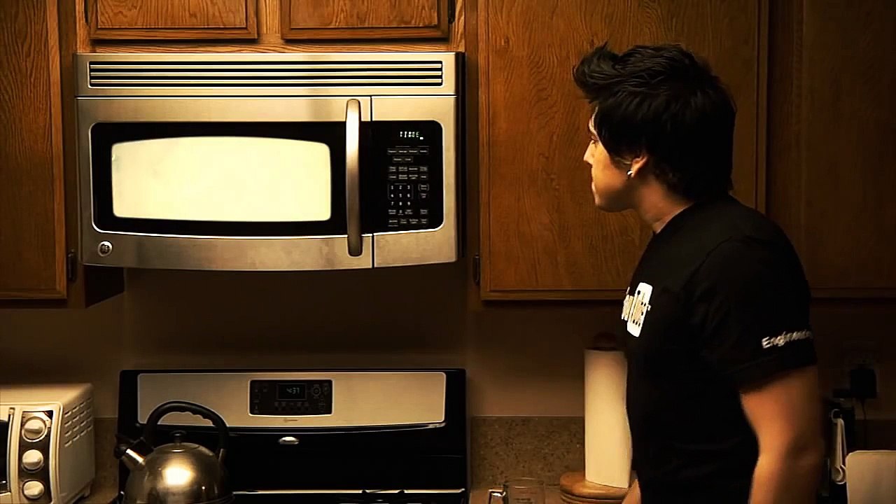 Cat in Microwave