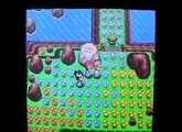 Catching Shaymin legally in Pokemon Platinum (Wi-Fi EVENT: Oak's letter)