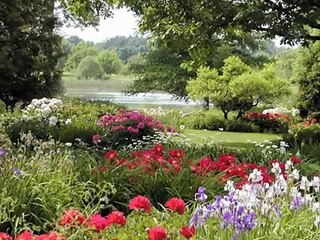 La Fontaine en chansons: "Le loup et l'agneau"