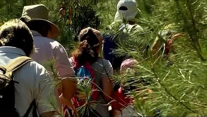 FRENCH: Creating a Greener Tomorrow 2014