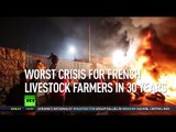 Food Fight: French farmers protest over low product prices