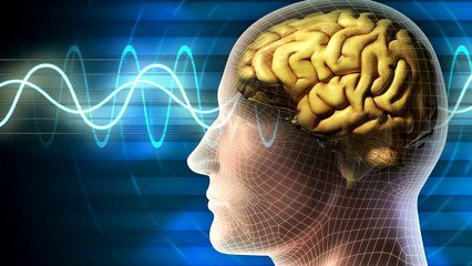 Let Your Intellect Guide You - YouTube (720p)