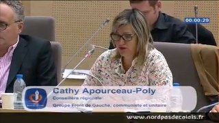 Intervention Cathy Apourceau Poly compte administratif 2014 et budget supplementaire 18-06-15
