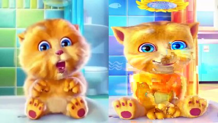 053 ABC song   Funny Cat Talking Ginger   ABC song for baby   Kids song