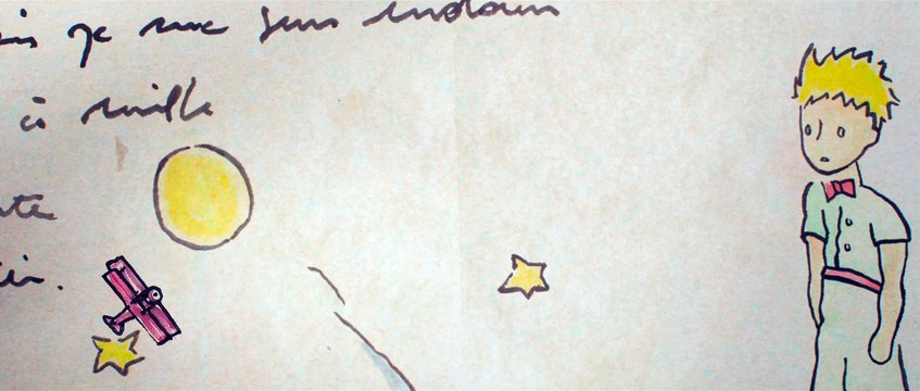 Le Petit Prince de Mark Osborne - Dessine Moi Un Mouton