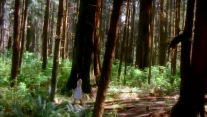 Thomas Bradshaw - The Inebriated Angel