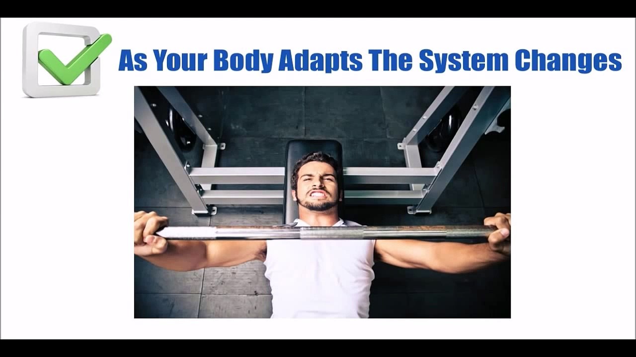 Adonis Golden Ratio Review - Build Muscle Adonis Ratio 2015