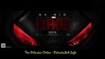Ant-Man ver pelicula online completas   descargar gratis