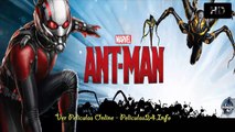 Ant-Man ver película completas en linea