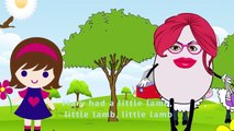 Mary Had A Little Lamb Nursery Rhyme With Lyrics - Cartoon Animation Rhymes & Songs for Children