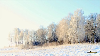 Gérard Manset - La Neige est Blanche