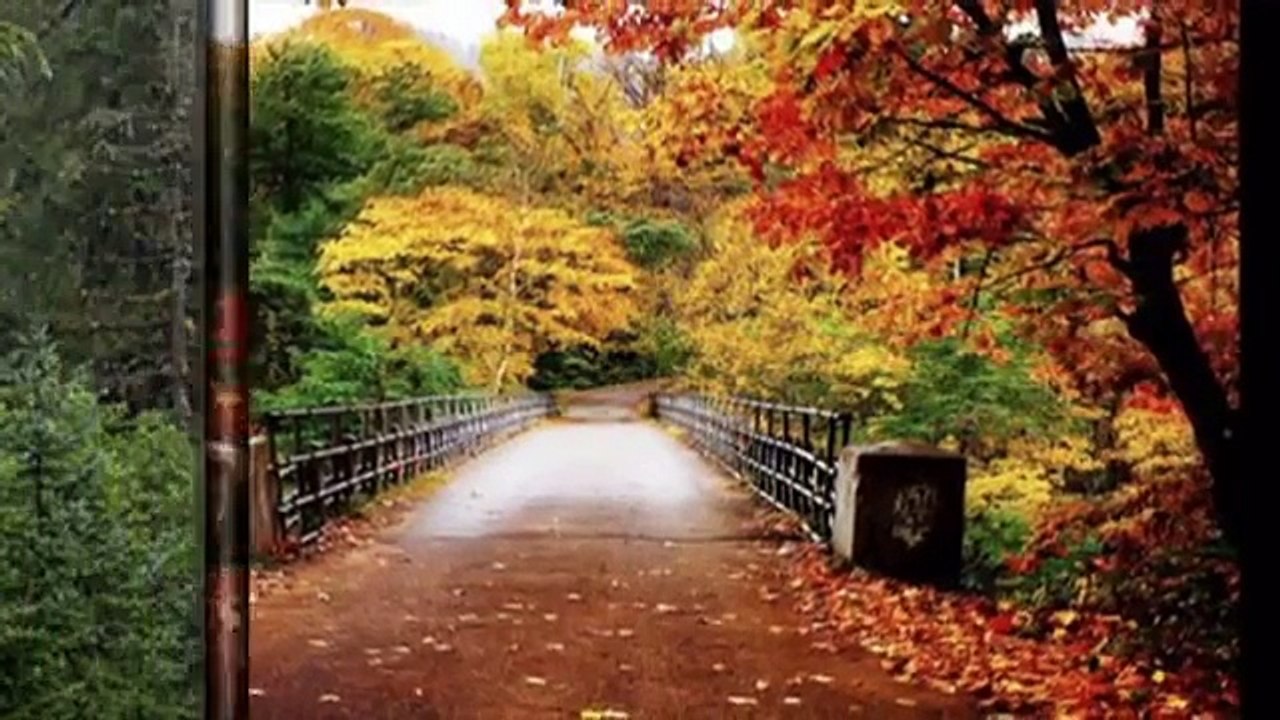 Tubntxawg xyooj - Koj nrog luag vim kuv pluag