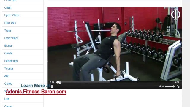 Adonis Golden Ratio Review Behind-the-Scenes-Look at Software and Programs