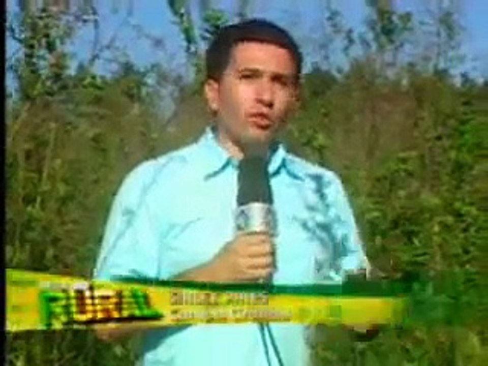 Record Rural - Especialista explica como cuidar das pastagens com a invasão de parasitas