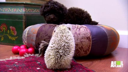 OlO↔2156↔4195∴안산출장안마 // 核미人 수원출장안마 /분당출장안마// 안산출장안마