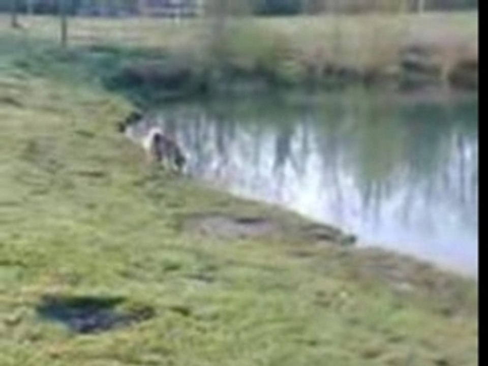 VID018