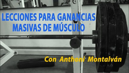 Ejercicio De Tricep. Fondos En Paralelas Y Fondos Entre Bancos. Ejercicio Para Desarrollar Triceps (480p)