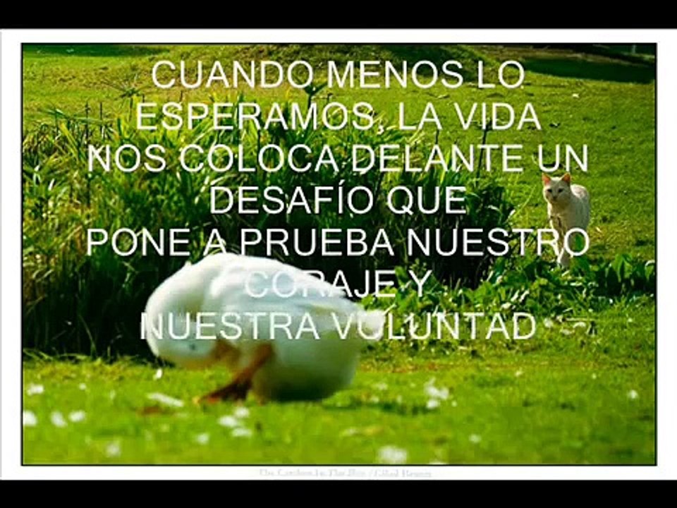 Video de Motivación