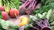 The Different Varieties Of Beets - Veseys Comparisons