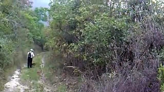 CACERIA EN NOGALES VERACRUZ