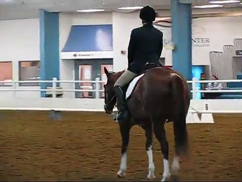Socketts Cody Bar IaDCTA Schooling Show October 29, 2011.wmv