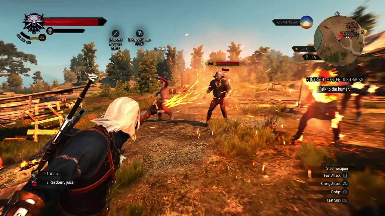 The Witcher 3:  exta crispy