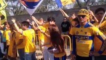 Comenzaron los cánticos de la porra de Tigres