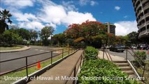 University of Hawaii Student Housing Manoa Move-In 2014
