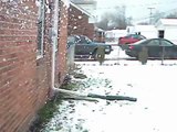 Dog Attacks Snow Shovel