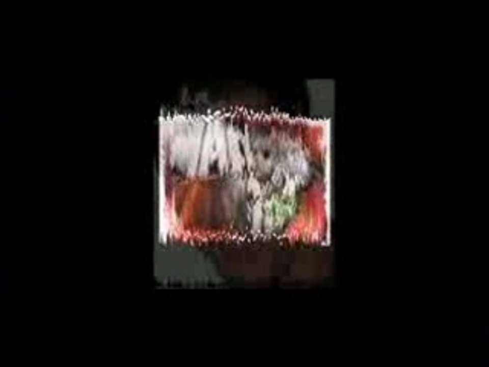 Jamel video
