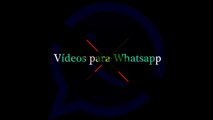 Videos para Whatsapp - Taffarel ladrão de ovelhas