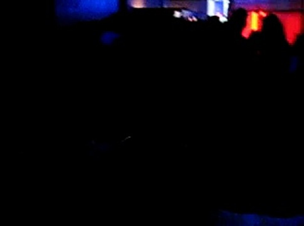 Cat Fight at Plush