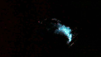 Phosphorescent / Bioluminescent "Noctiluca" Plankton in Puget Sound