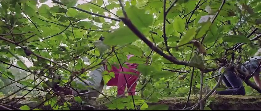 MACKLEMORE & RYAN LEWIS - SAME LOVE feat. MARY LAMBERT (OFFICIAL VIDEO)