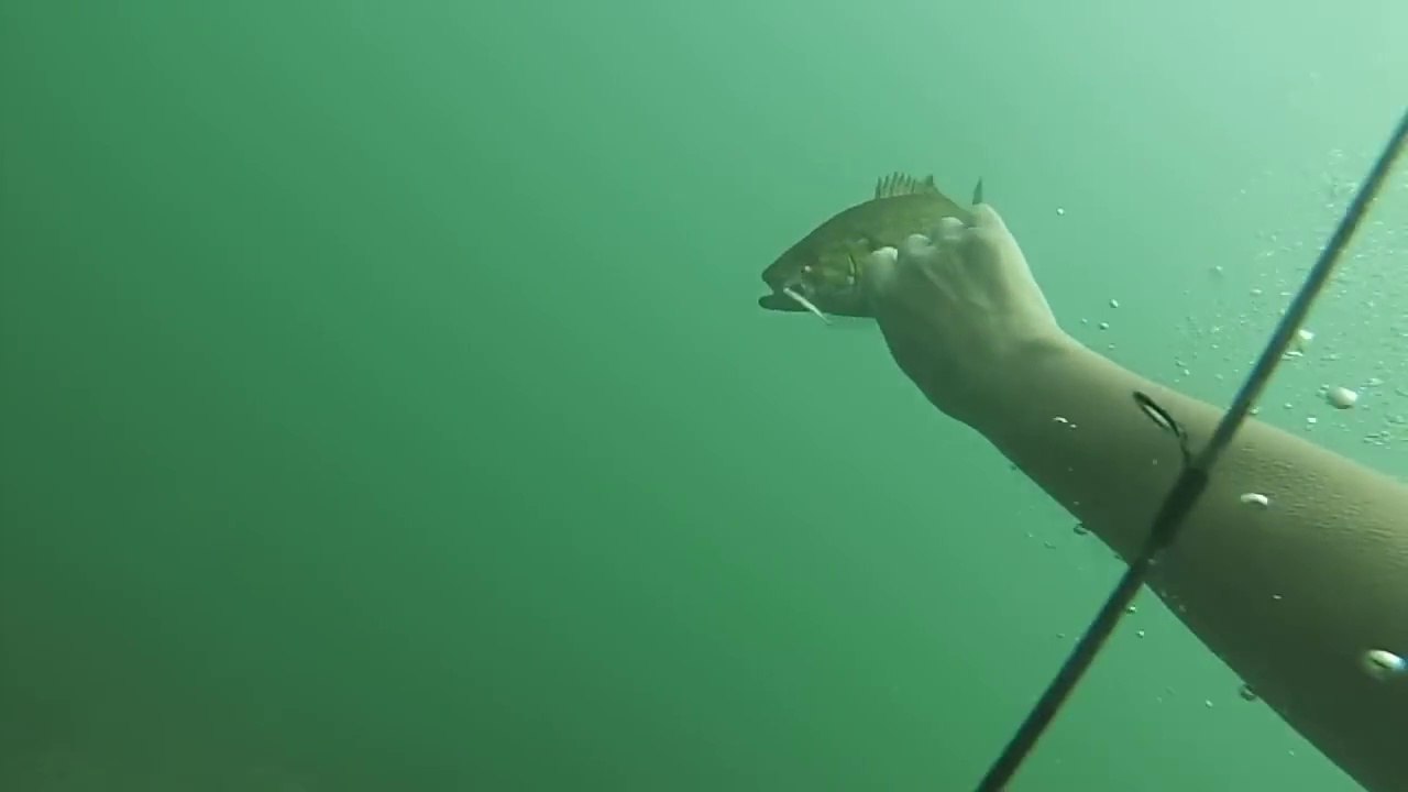 Underwater Scuba Fishing in Niagara River