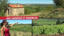 Vincoeurs Haut-Languedoc