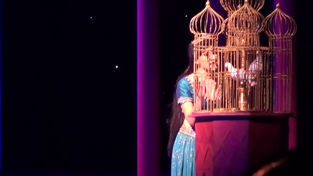 Aladdin A Musical Spectacular - Jasmine (Melissa Dunham) Singing 'To Be Free' (HD)