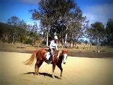 Horse Riding Bareback bridleless, free with positive reinforcement. Horsemanship