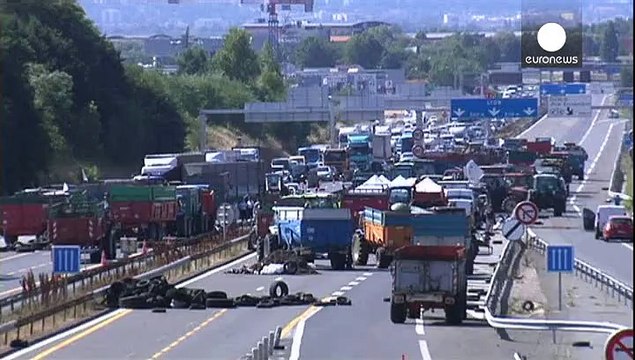 Протесты фермеров во Франции: навоз на дорогах и свиньи в супермаркетах