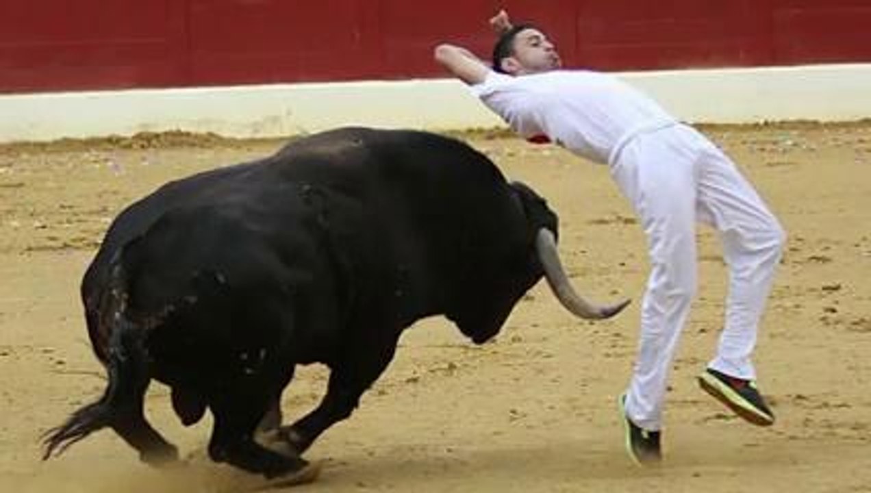bull attacked man