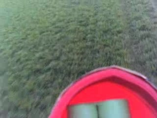 Vol au dessus des champs