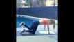 Women Fitness Motivation Workout Inspiration