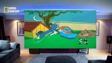 توم وجيري TOM END JERY الحلقة 8