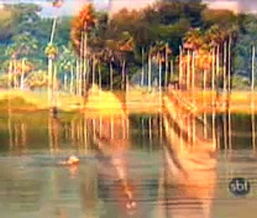 CASSIA KISS TOMANDO BANHO NO PANTANAL