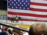 Steffen Peters Clinic - Tempi Changes