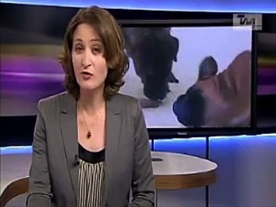 Boerboel : TV2 - TV/MIDT-VEST 07-02-2010.