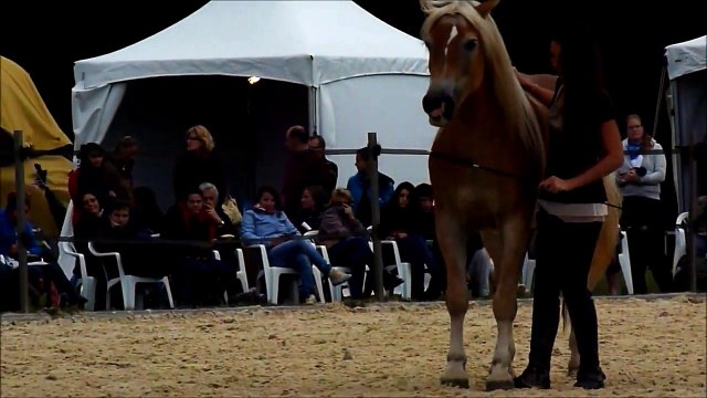 Pauline et Naïade, rdv la cense 2013