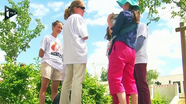 Arrêt des soins de Vincent Lambert : le CHU ne se prononce pas