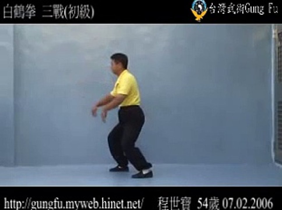 台灣武術Gung Fu White Crane 三戰(初級)(baosu)