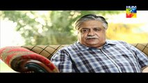 Aye Zindagi Episode 20 Full 23 July HUM TV Drama series